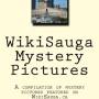wikisauga_mystery_pictures_-_a_compilation_of_mystery_pictures_featured_on_wikisauga_by_amir_syed.jpg